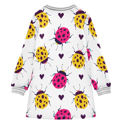 Ladybugs Hearts Girls Dresses Long Sleeve Sweatshirt Dress for Girls Winter Toddler Casual A Line Dresses Size 2-8T2