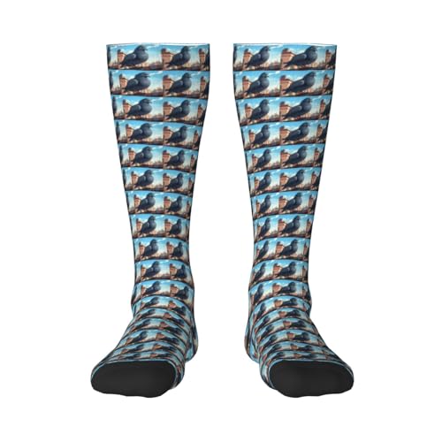 cartoon pigeon print Clash of colours long socks, sports running cycle long socks, comfort long socks