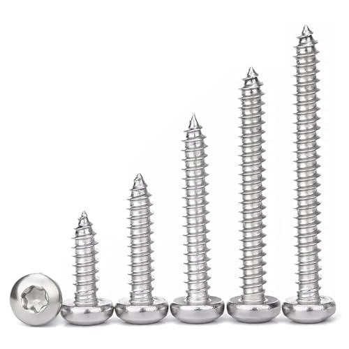 Drenky Holzschrauben Torx,100 Stück Selbstschneidende Schrauben M3x16mm Linsenkopfschrauben Holzschrauben Edelstahl A2 V2A Torx Schrauben M3 Vollgewinde für Holzteile
