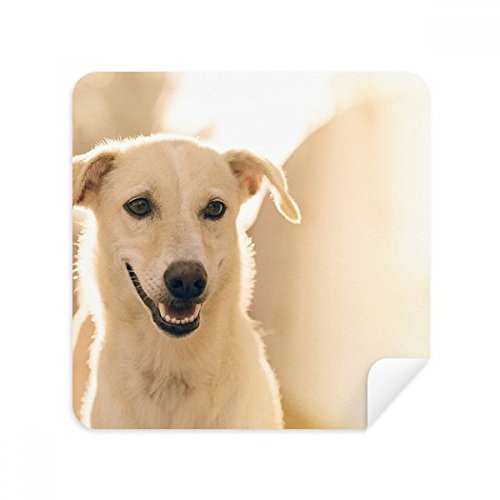 Chiffon de nettoyage chien blanc en suède pour lunettes et écrans de téléphone 2pcs
