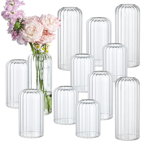 12PCS Bud Vases Set, Glass Vases for Flowers, Modern Cylinder
