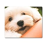 (Alfombrilla de ratón) Perrito maltés Mousepad del Juego Cojín de ratón del Juego