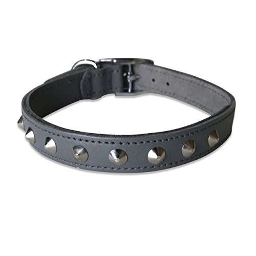 Ancol Lederhalsband Mit Nieten – Klassisches Design, Schwarz, Größe 6 (45–54 Cm), Aus Zaumleder