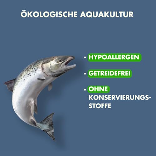 Irish Pure Hypoallergenes Trockenfutter Adult | 4kg | Atlantik-Lachs mit Kelp-Alge & Gemüse | Hoher Fleischanteil | Getreidefrei | Sensitiv | Hundetrockenfutter | Für alle Rassen