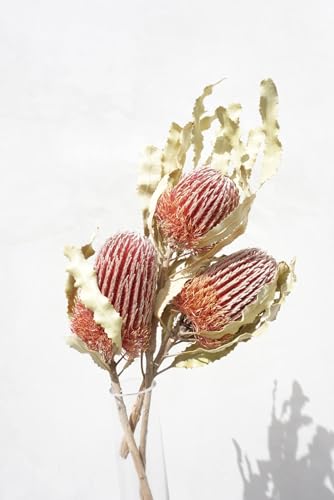Welcome Logo Flores 2 Ramilletes Banksia Seca Decoración miniatura 2