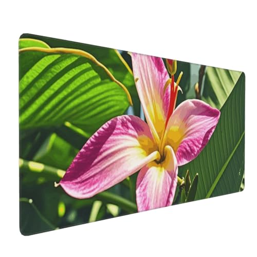 Tapis de souris de jeu Hawaï antidérapant contre les rayures de table