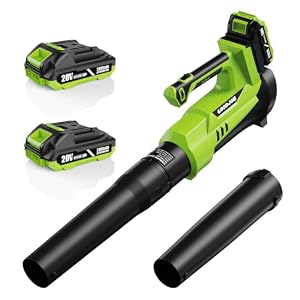 650 CFM Leaf Blower Cordless with 2 * 2.0Ah Batteries and Charger