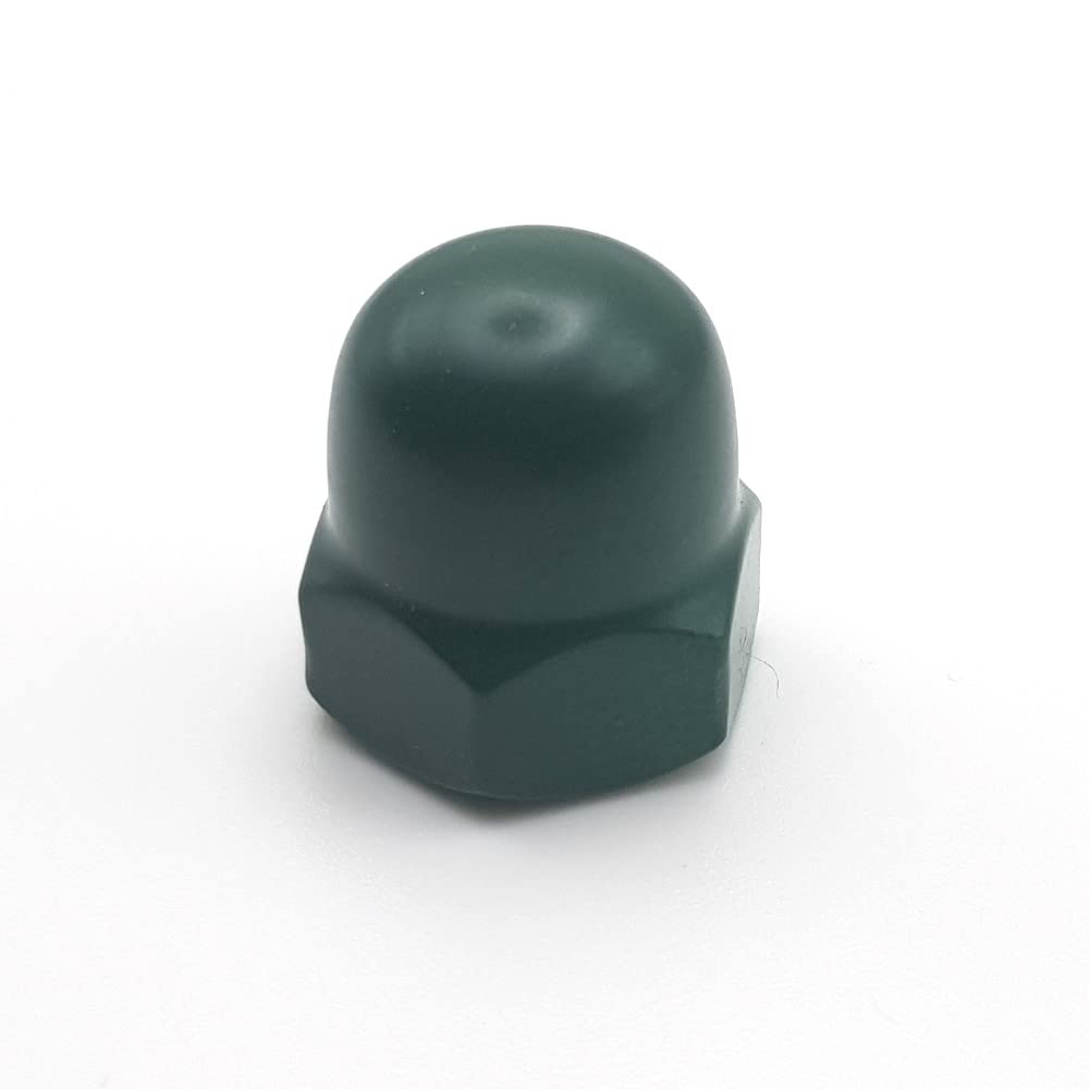 Dadi ciechi M10 Inox A2 RAL 6005 verde schiuma DIN 1587 per 25