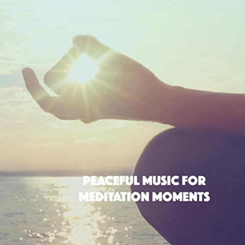 Peaceful Music for Meditation Moments von Relax Meditate Sleep, Relax