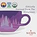 Sherpa Chai Traditional Chai Tea Concentrate - Hand Crafted Black Tea Concentrate with Traditional Non-GMO Ingredients - Authentic Chai Recipe Brewed by Nepali Sherpas - Chai Tea Gift for Tea Lovers