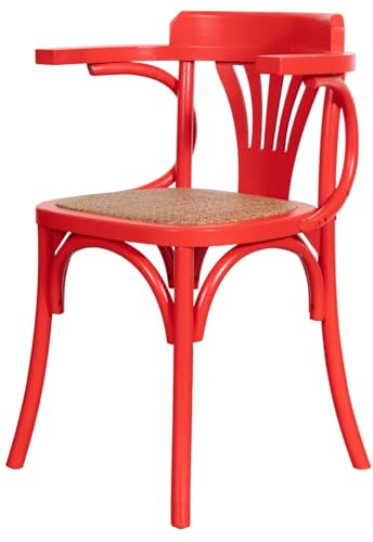 Biscottini Chaises de salle à manger en bois et rotin - Chaise cuisine et salon avec accoudoirs - Chaises d'extérieur et d'intérieur - Chaise en peluche...