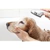 Pet Silk Botanical Garden 16oz Shampoo, Rich Blend of Lemon Verbena, Fruit Extract and Oils, Hydrates, Protects and Soothes Hair, Strengthens Coat and Skin While Gently Cleansing