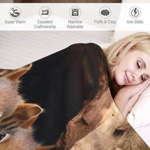 Couverture de lit flannel rides résistantes plaid écureuil chaud
