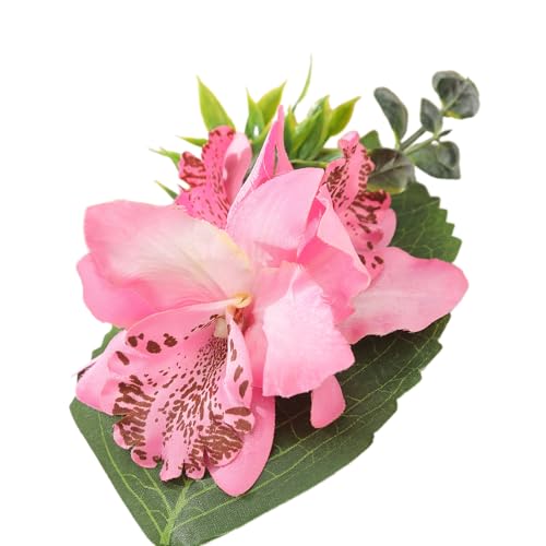 qpwAs wANbv VrWE` r[`Xe[W _XEFA  2000N ̎q wbhhX oP[V