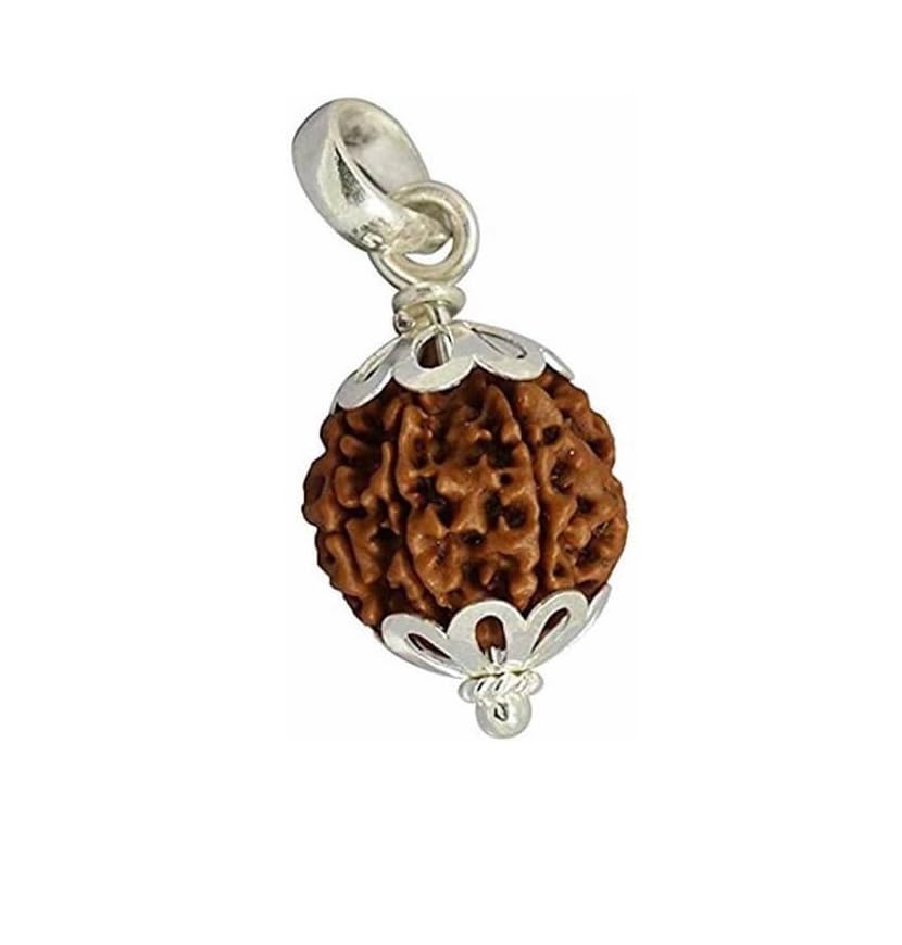 5 Mukhi Rudraksha Original Certified 16mm - 5 मुखी रुद्राक्ष ओरिजिनल लैब सर्टिफाइड - 5 Faced Rudraksh by Certified Gems