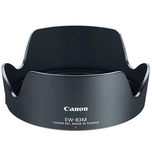 Amazon.com : Canon EF 24–105mm f/4L is II USM Lens (Renewed 