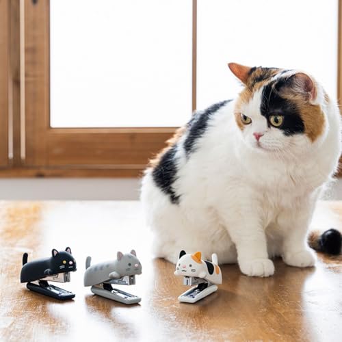 Amazon商品イメージ3