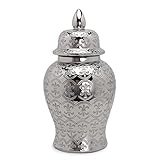 ROBMET Silver Ginger Jars with Lid, Handcrafted and Hand Painted Decorative Ceramic Jar Vase for Home Decor，Carved Patterned Temple Jar (Size : Large)