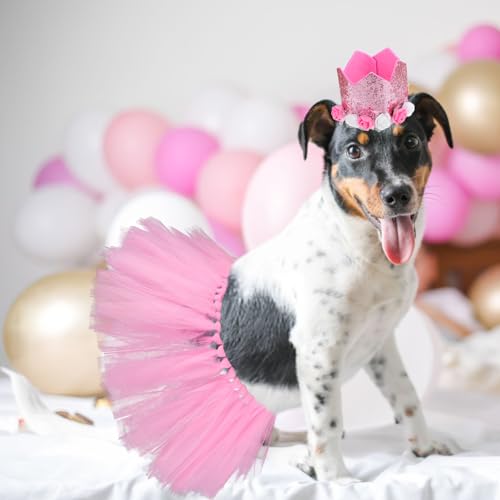 Halloween Hundekostüm Hunde Tütü Haustier Geburtstag Outfits Princessin Katze Kostüm und Mütze Tüll Rock für Kleine Haustiere Geburtstags Haustiere