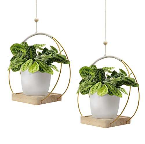 Fovern1 Hanging Planter With Wood Base, 2 Pack Macrame Hanging Plant Holder, Decorative Flower Pot Holder Plants Hanging Pot For Wall Window Room Boho Home Decor (Pot & Plant Not Included) #TOP9