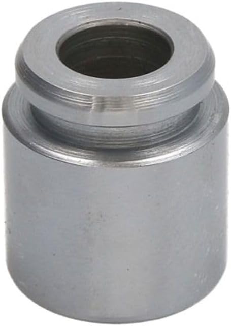 Autofren Seinsa D025284 – Piston, Brake Caliper