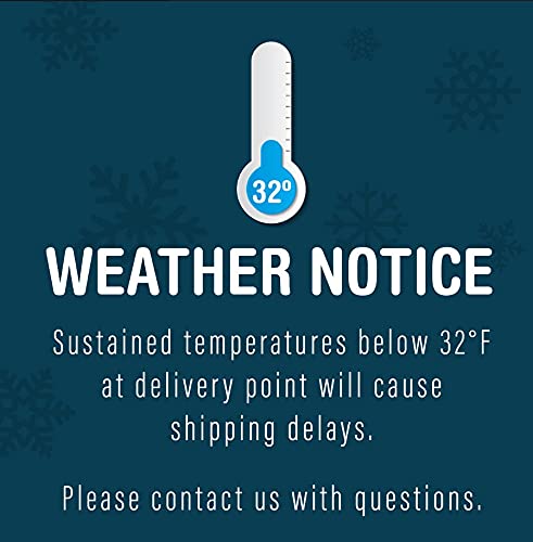 GloFish Live Fish Collections (Tetra Tulip)