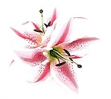 XL Double 8 inch Pink Cream Tiger Lily Silk Flower Hair Clip with Teeth