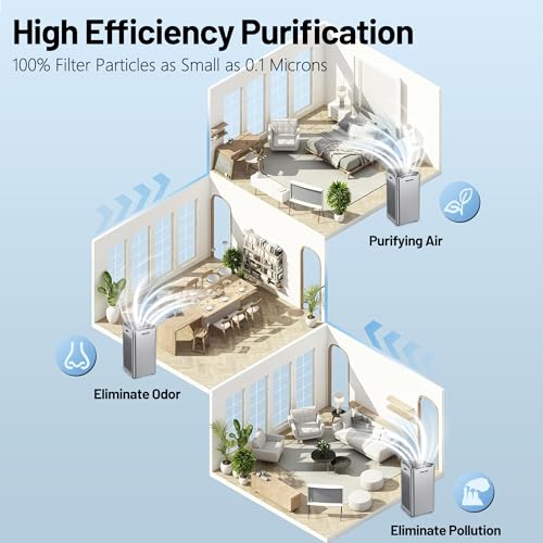 BSMTEK Whole Home Air Purifier