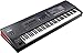 Roland Fantom 8 EX 88-Key Workstation Keyboard Synthesizer Bundle with Adjustable Stand, Sustain Pedal, Online Piano Lessons, Instructional DVD, and Austin Bazaar Polishing Cloth