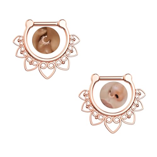 OAOMRIA 2Pcs 16G 10mm Titanium Septum Rings Non Tarnish Conch Rook Cartilage Daith Earrings For Women Hypoallergenic Septum Clicker Nose Ring,Rose Gold