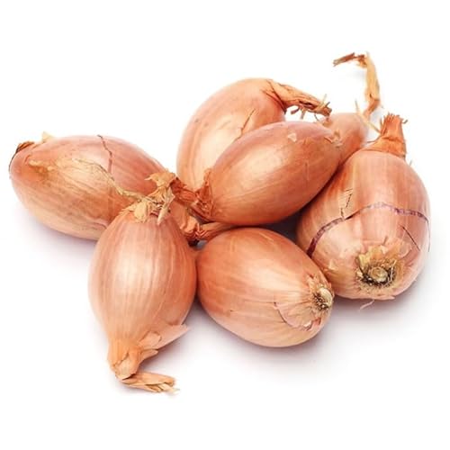 Echalote longue traditionnelle,250 g