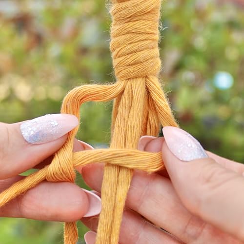 Kit de suspension pour plantes en macramé avec tressage durable