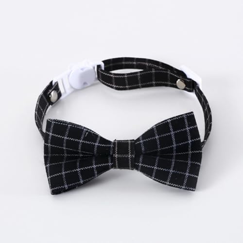 Disfraz de graduación para mascotas Luxshiny con gorro y corbata miniatura 6