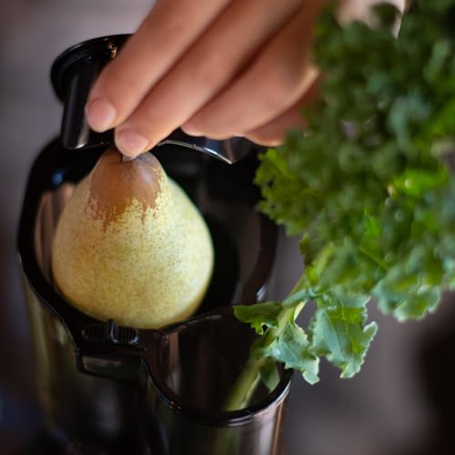 Kuvings - Entsafter REVO830 – Doppelmund, automatisches Schneidesystem – Schwarz – Bild 6