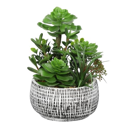 Image of Hollyone Fake Succulents in Cement Pot, Mixed Artificial Succulents Faux Greenery Indoor, Decorative Artificial Plants for Home Decor, Living Room, Bathroom, Kitchen, Shelf, Desk Decorations