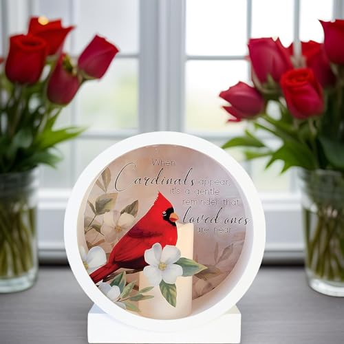 Carson Memorial Shadow Box Lantern with Flameless LED Candle Sympathy Gift for Funeral for Loss of Loved One Remembrance Lantern for Home Decor (Deeply Loved)