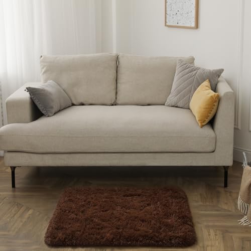 HOMORE Small Rugs for Bedroom 2x3 Feet Brown Rug for Bedroom Bedside Soft Fluffy Area Rugs for Desk Indoor Entrance Door Mat, Small Runner Rugs and Carpets for Dorm Nursery