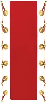 Trademark Innovations Red Carpet Aisle Runner 2 x 10