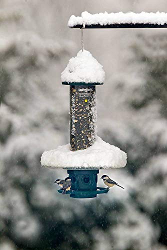 Weather Guard for Squirrel Buster Plus Bird Feeder (FEEDER NOT INCLUDED) - Thumbnail 4