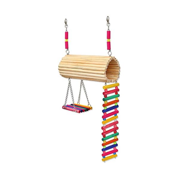 Golden Pets Brinquedo Playground Twister Hamster Calopsita Periquito - Imagem 5