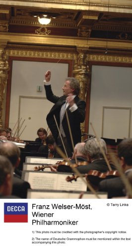 Neujahrskonzert 2011 - Image 5