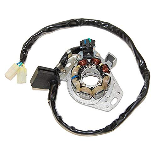 ElectroSport ESC970 Stator CR250R