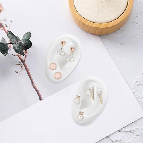 Modèle d'entraînement pour piercing d'oreilles silicone matériel perçage oreille taille M - 5