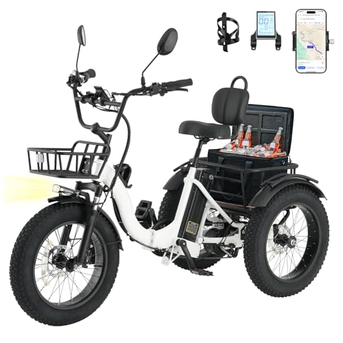 Skeri 750W Folding Fat Tire Trike