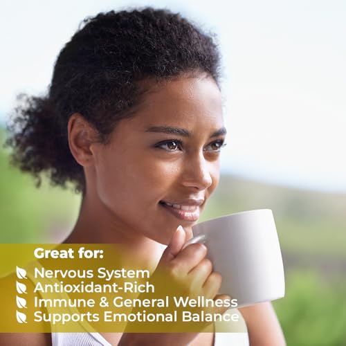 Image of 4 oz. St Johns Wort Herb Herbal Tea (Hypericum) - 113g Hierba De San Juan Herb Tea