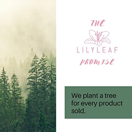 LilyLeaf Handheld Makeup Mixing Palette - Transparent Hand Tray for Mixing Foundation - Clear Acrylic Blending Plate For Makeup Lovers and Professionals With Cute Storage Bag (L)