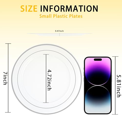I00000 100Pcs Clear Silver Plastic Plates,Silver Rim Plates 7 Inch,Heavy Duty Premium Clear Dish for Wedding Party Supplies for Salad Dessert Cake