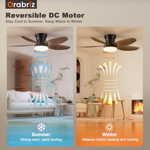 Orabriz 35 Inch Small Ceiling Fan with Modern Dimmable LED Lights and Remote, 6 Speeds Low Profile DC Reversible Flush Mount 5 Blades Fan Light for Bedroom Living Room Indoor/Outdoor, Walnut — view 5