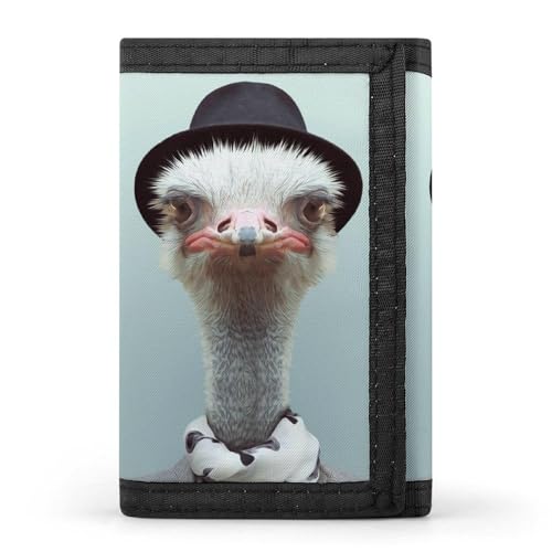 [YINGDAB] O܂z k ~jz J[hP[X z D fB[X Y J[h K Wallet  RpNg e ^ v[g