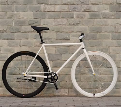 シングルスピード バイク」の人気商品一覧 | 安い商品を通販サイトから